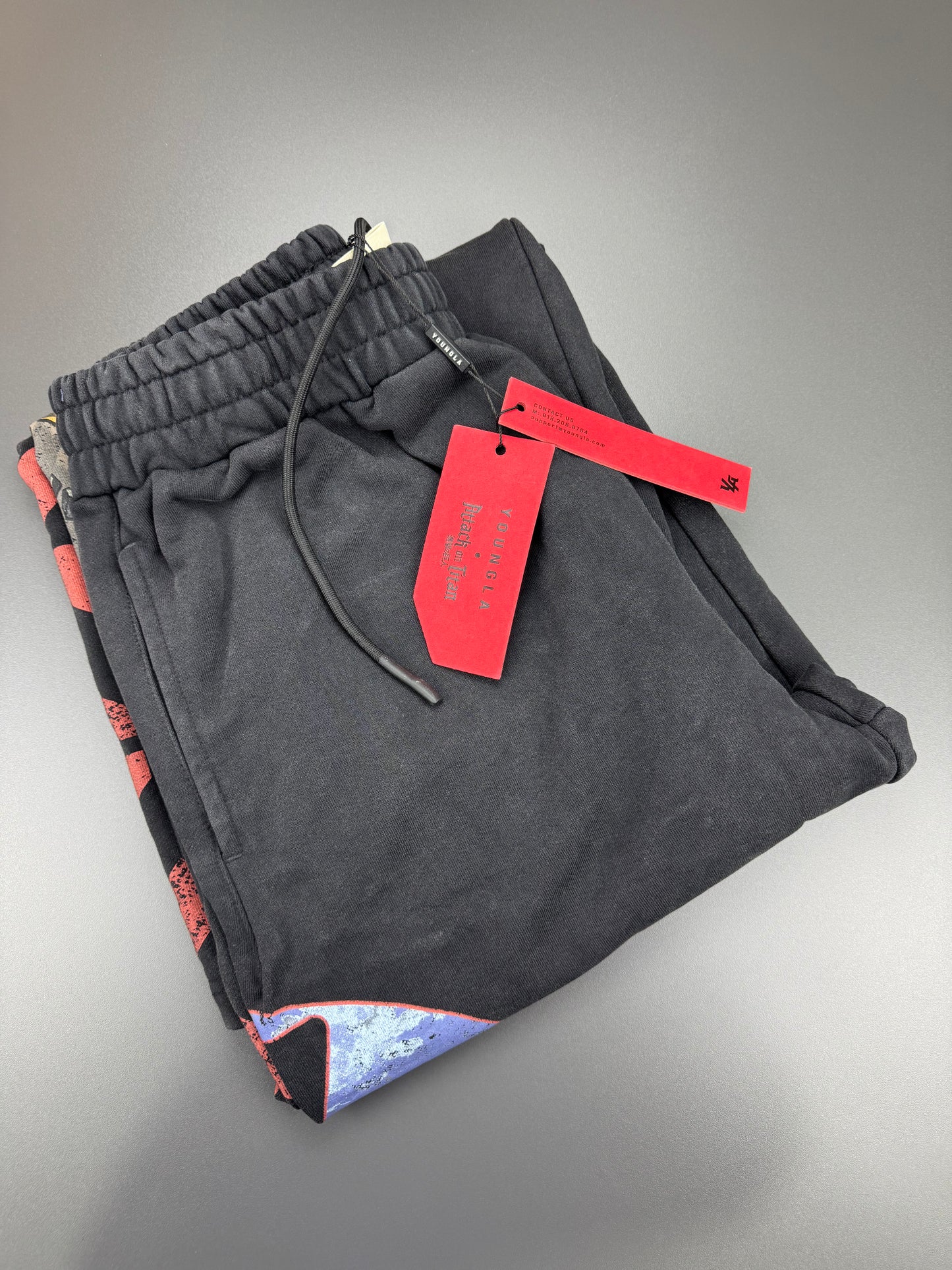 YG AOT JOGGER TITAN AT WAR